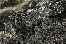 Bang & Olufsen Beoplay H5 Wireless Bluetooth Earbuds – Moss Green
